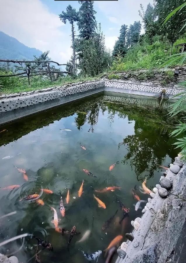Parvatis Lap Luxury Hostel & Camps Kasol Exterior foto